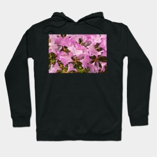 Pink Lilac Rhododendron Flowers Hoodie